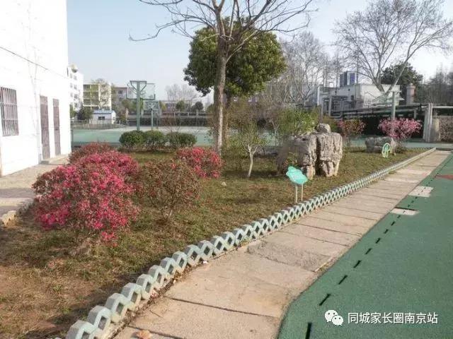 为啥家长都说育英二外好？看完这篇文章你就懂了