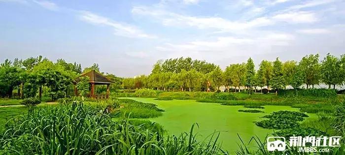 在荆门买房是什么体验,为什么一定要在老家有房子