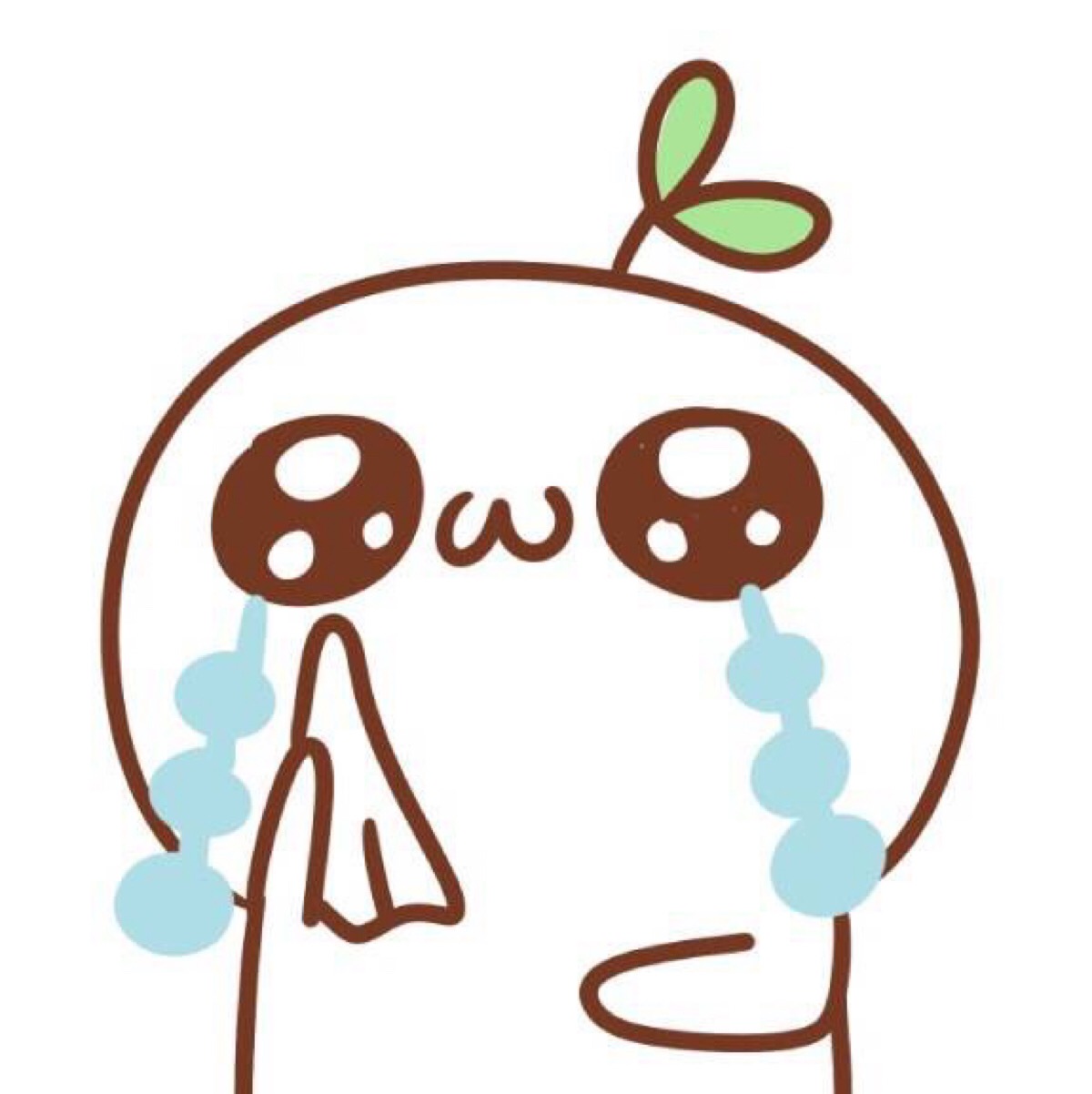 没人能随便成功,没有人能随便成功学生版视频