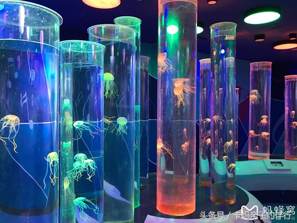 干货收藏150例,干货收藏5分钟