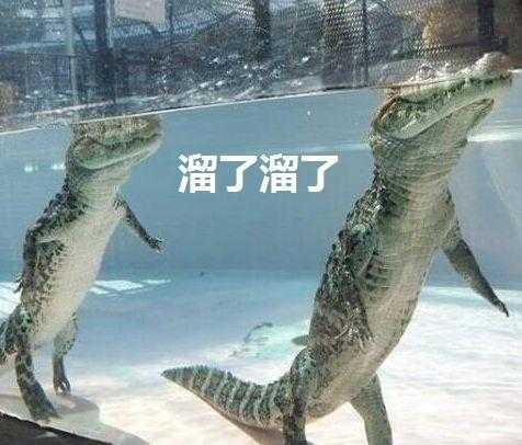 世界上最贵的权杖口红,世界上最贵的钻石口红