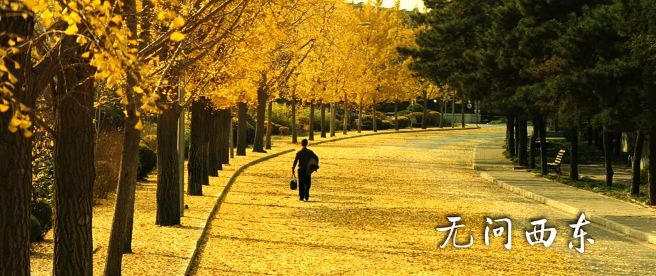 拿着这份片单跨年，值了