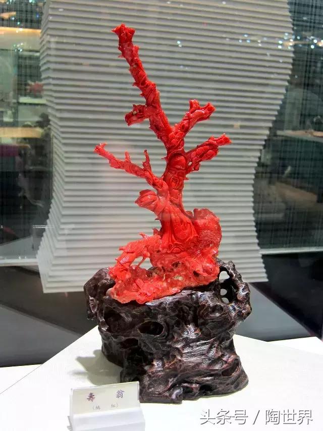 台湾红珊瑚的功能与主治,红珊瑚是佛教的七宝之一