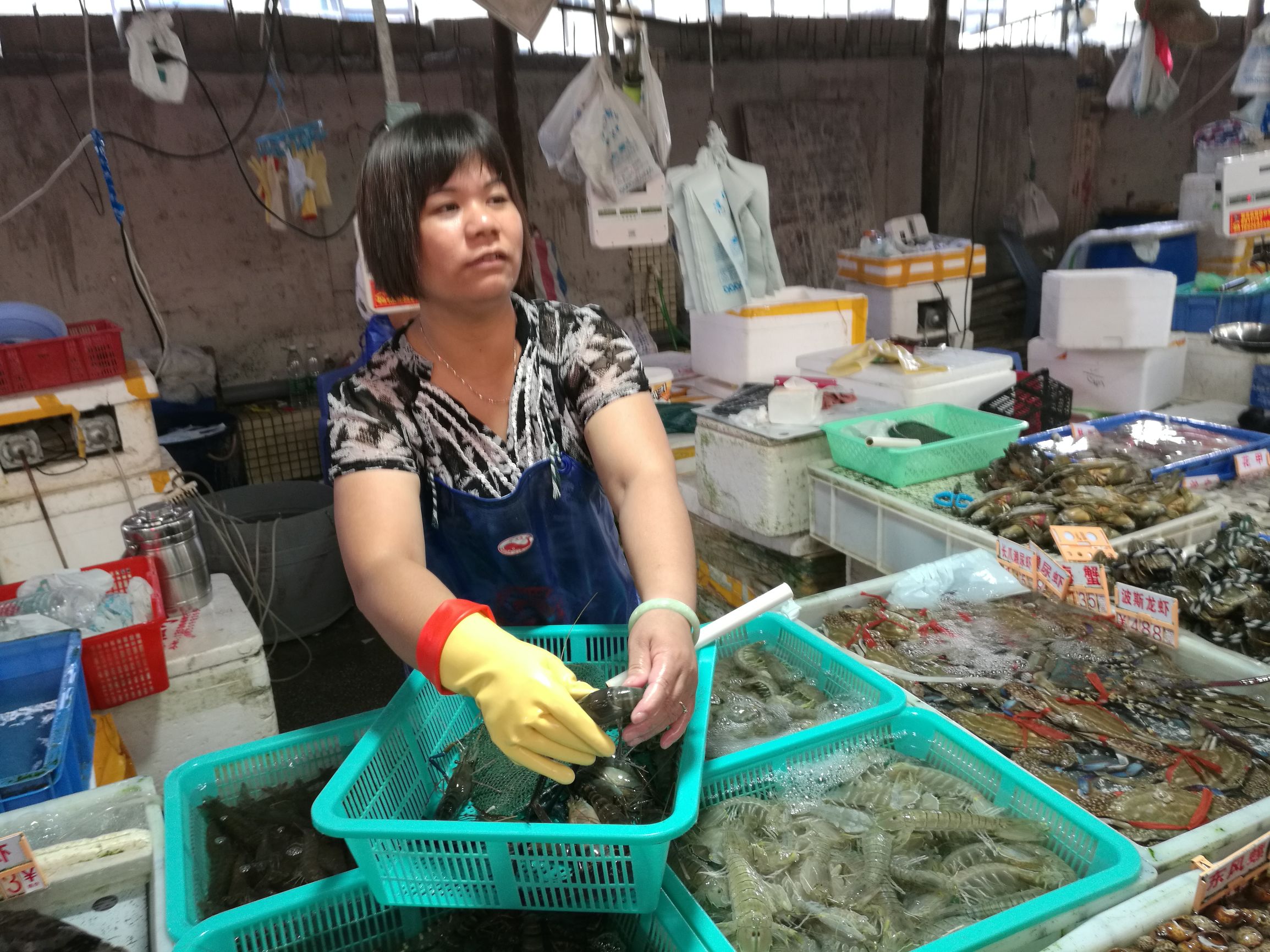 珠海哪里有帝王蟹吃,珠海附近帝王蟹