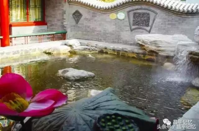 昌平小汤山热带雨林温泉必带清单,北京昌平温泉度假村温泉排名榜