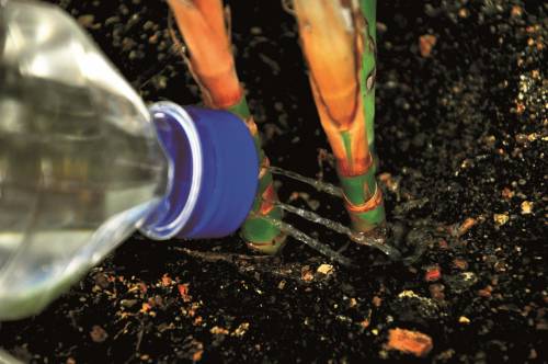 家庭无人浇花器怎么做,制作浇花器一年都不用浇水