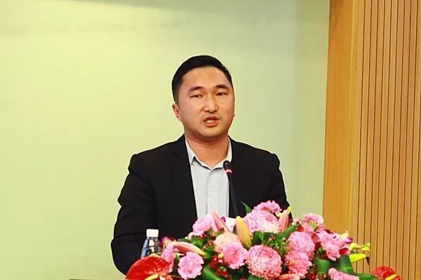 飞歌和阿尔派车机选哪个,十万元的汽车音响