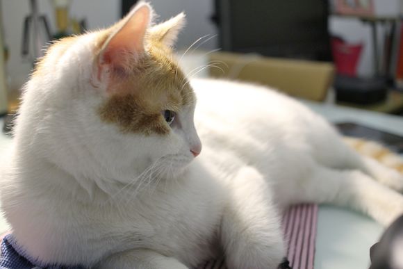 老初月谈 密码：iFI nano iDSD BL，轻松开启音乐之门