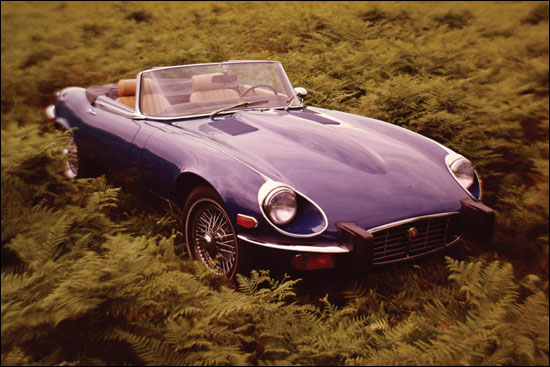 捷豹英国皇室座驾,捷豹是真的英国之宝吗