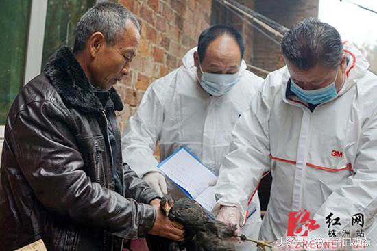 贫困户养殖户脱贫致富,精准贫困户养殖基本情况