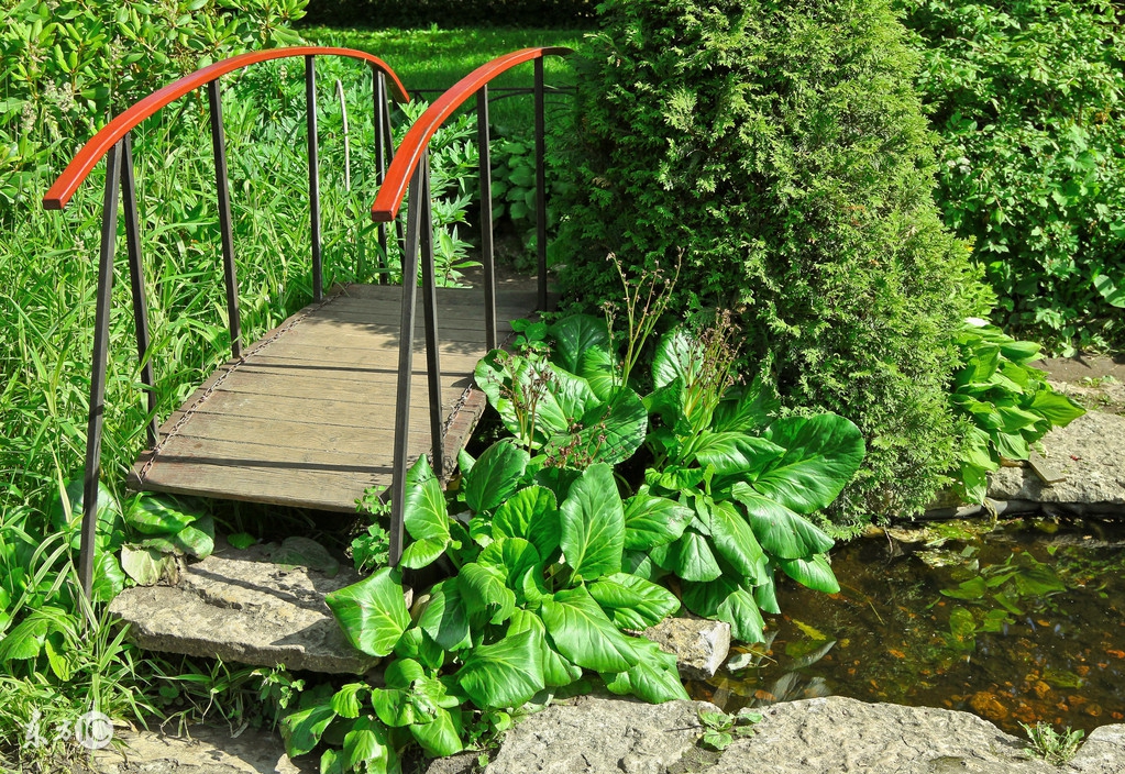 小小难言小说,少年的难言之隐