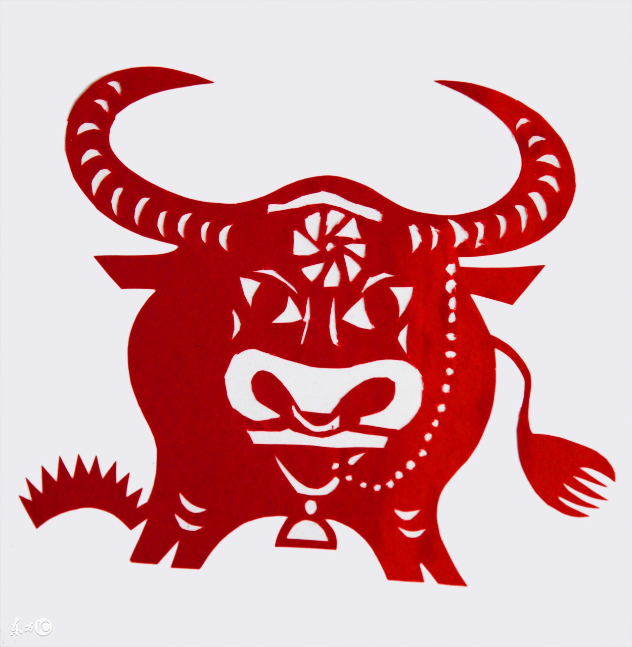 73年的牛牛人到中年,73年牛牛的一生