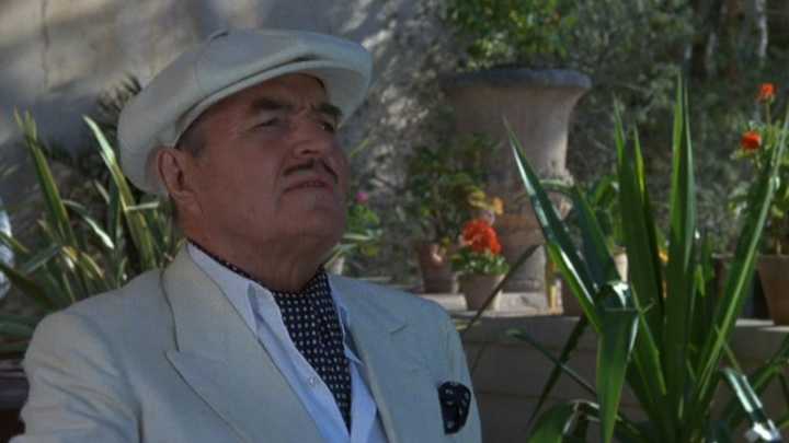 神奇动物2格林德沃之罪荆棘,神奇动物格林德沃之罪女角色