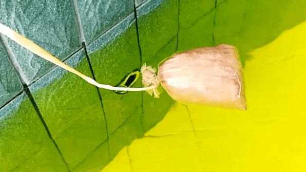 余姚阳明山温泉附近旅游攻略,余姚阳明山温泉位置图