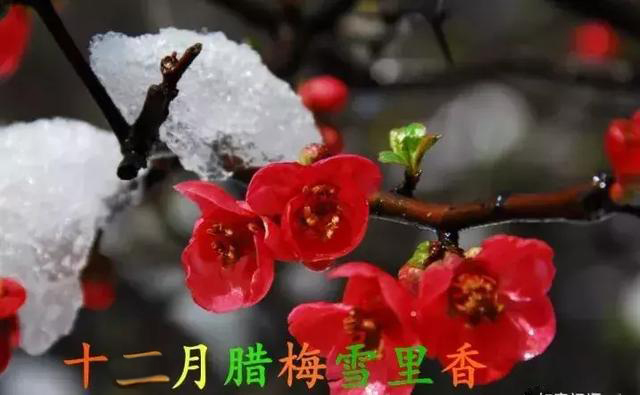 2021绝版绝美挂历,2018精美挂历有吗