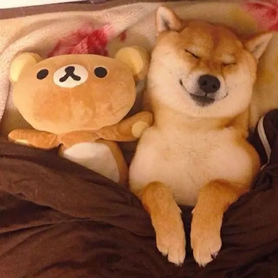 世人都说太相似的两个人不适合在一起我想这是最好的答案