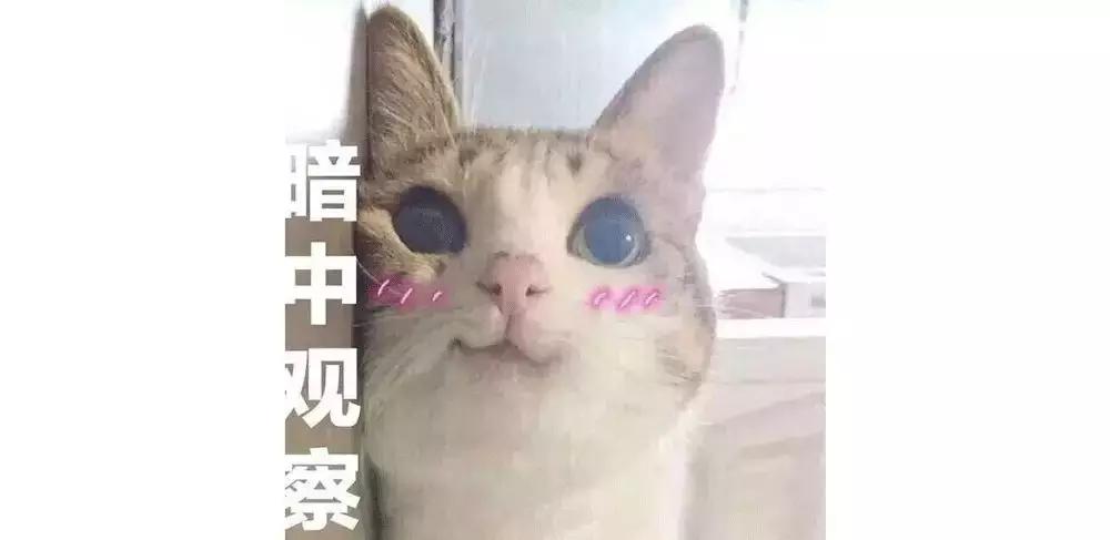 李小璐化妆台护肤品,李小璐化妆照片大全