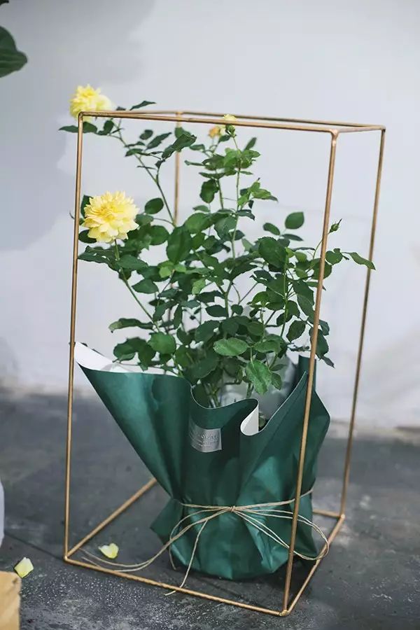 花艺师要会些什么,花艺师必须会哪些东西