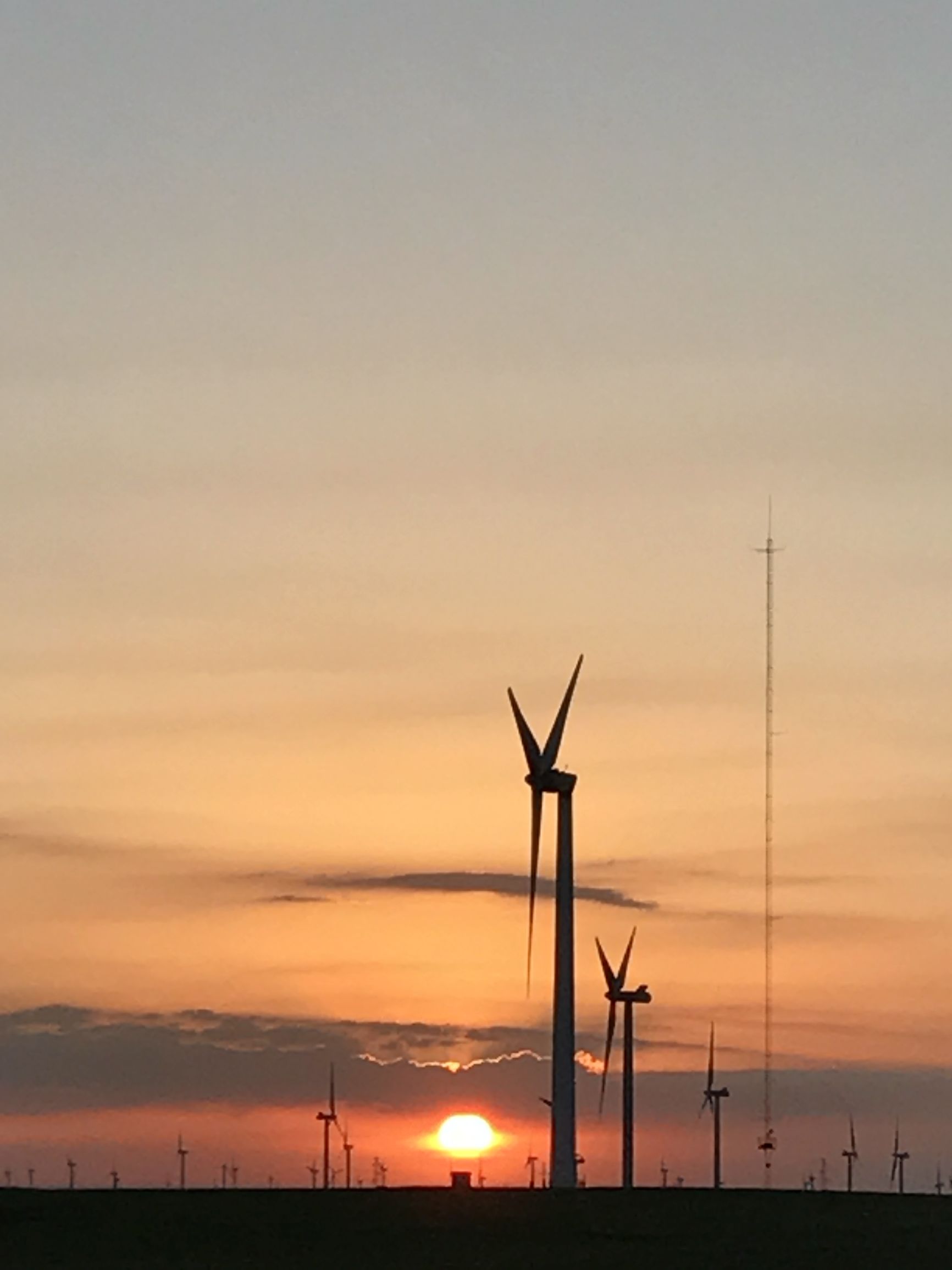 面试班选大机构还是小机构,华图与粉笔的网课哪个好