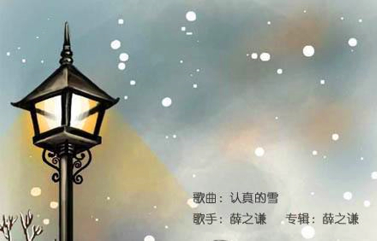 翡翠黑乌鸡款,公盘乌鸡翡翠