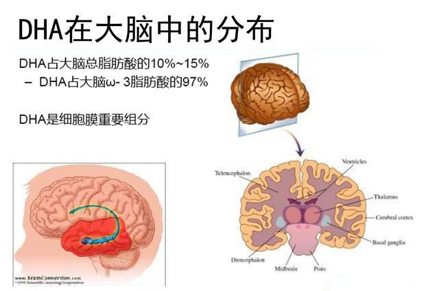 奶粉dha和ad含量多少最好,纯奶粉宝宝dha到底要不要补