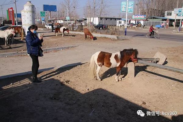 魏朝柯：帅铃T6，旅程有你不孤单｜卡车之友网
