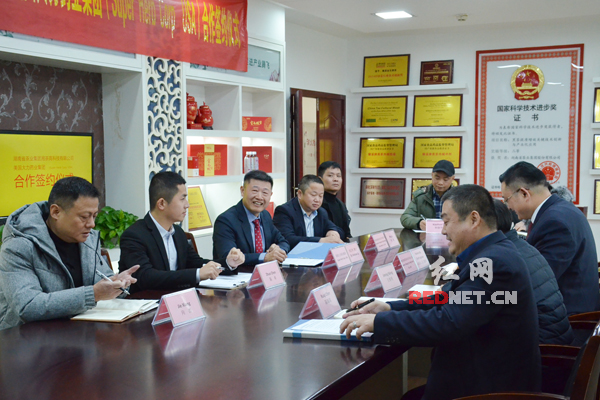 湖南湘茶集团黑茶,黑茶获得国际金奖