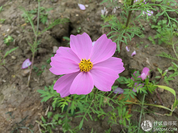 htcone和a9,htconea9和a9w