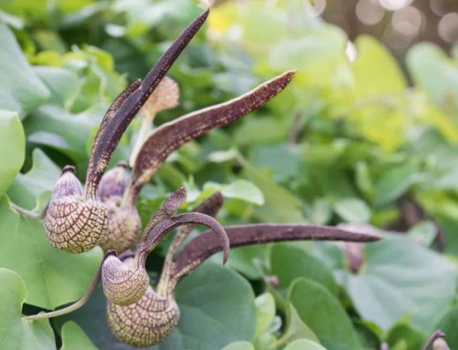 健康报十佳科普视频,健康日报健康观点播报