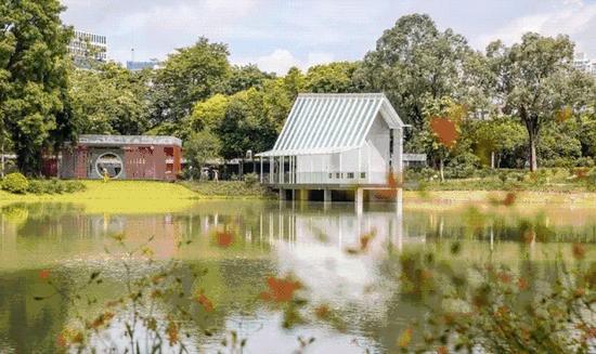 深圳新出好玩的地方,深圳市哪些公园比较值得去