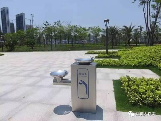 深圳新出好玩的地方,深圳市哪些公园比较值得去