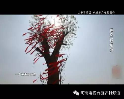 遇见孤柏渡，会有怎样的故事？丨“孤柏渡·经典游”获奖作品展播（6）