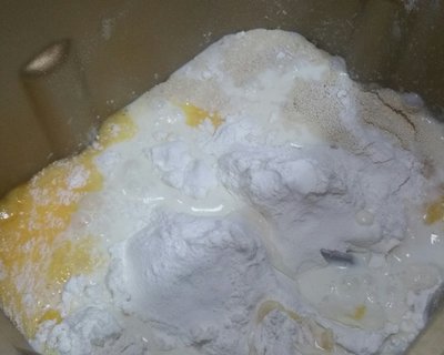 奶酪包,奶酪包与猫