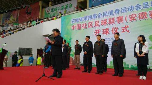 安徽省合肥市足球比赛,足球联赛激情启幕