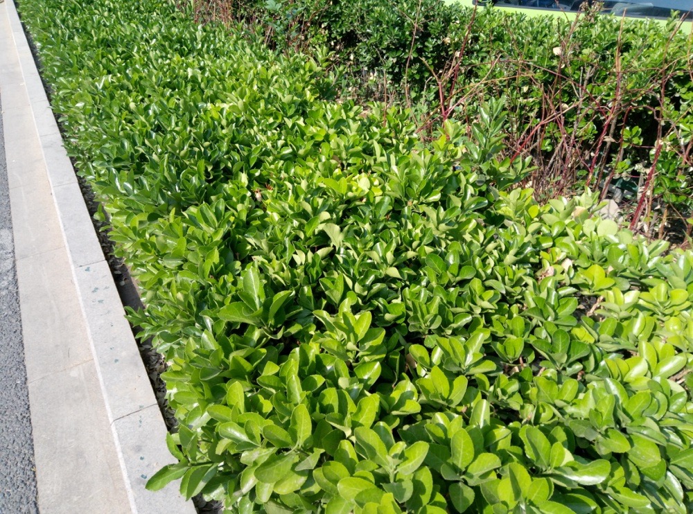 魅蓝3详细信息,魅蓝3的功能介绍