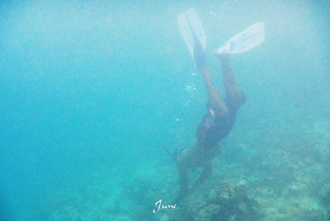 【一只熊的冒险】薄荷色夏日梦，马来西亚沙巴亚庇仙本那历险记——敦沙卡兰海洋公园（完）