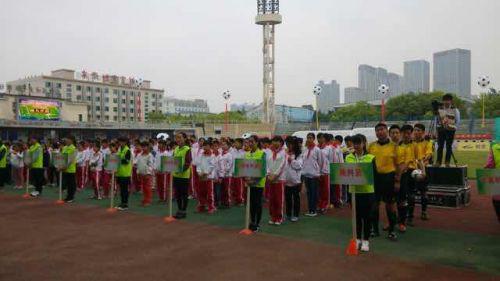 安徽省合肥市足球比赛,足球联赛激情启幕