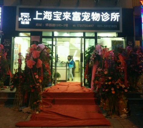 妙手仁心救我狗命锦旗,妙手仁心宠物医院