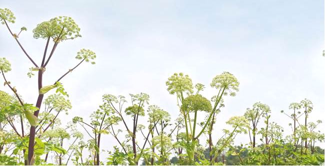 一日一妆品：2018开启美容新篇章2