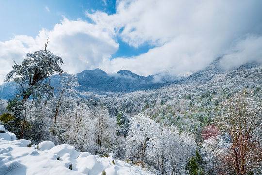 走雅康高速去康定不经过折多山吗,雅康高速喇叭河实时路况