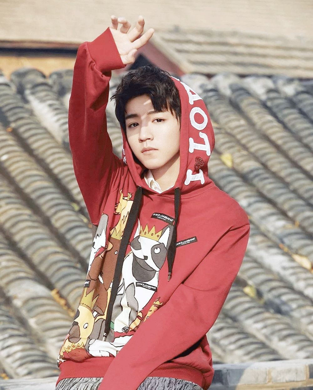 去年没放过鸡,今年这些品牌又开始虐狗了