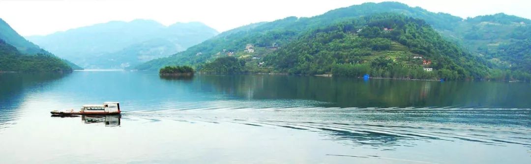 快看油价大变化,油价终于降了车主请注意