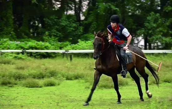 沈阳草原骑马去哪个地方好,离沈阳最近的草原骑马自驾游