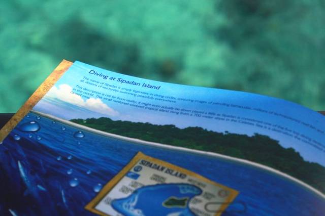 恋与制作人能玩到头吗,恋与制作人相伴时光