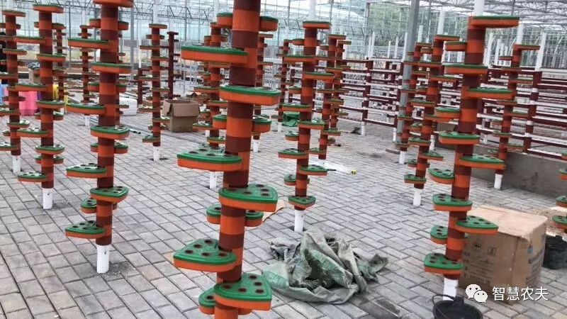 可以水培的蔬菜植物有哪些,水培家庭蔬菜种植箱优缺点