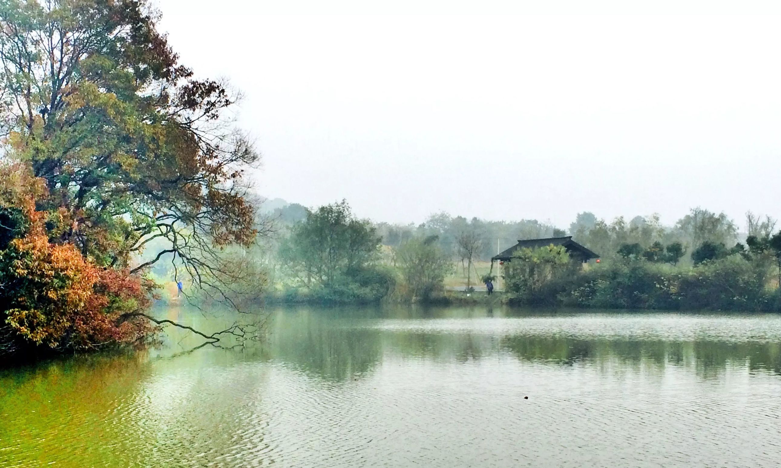南京周边小镇一日游农家乐,南京周边温泉度假村哪里好点
