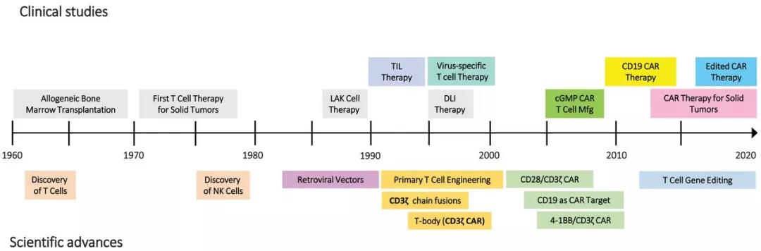 Science新年发文：基因疗法时代即将到来挑战不容忽视