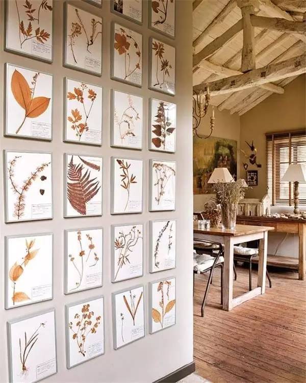 自己在家怎么做植物标本 (秋天如何做植物标本)