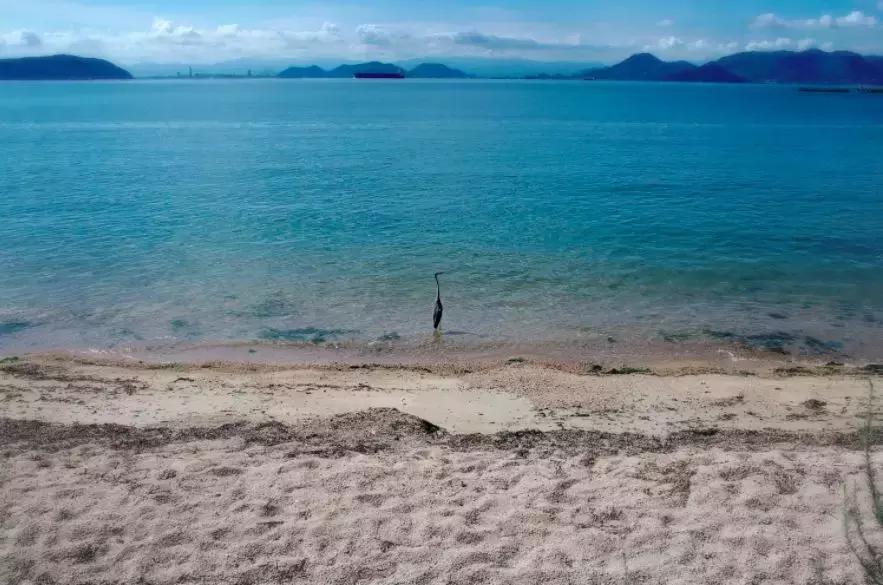 宫崎骏笔下的场景是真实存在的,宫崎骏现实版的场景