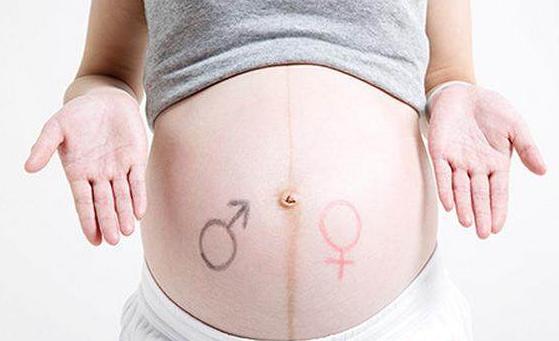 四维彩超预测宝宝长相项目,四维彩超可以看到小孩样子吗